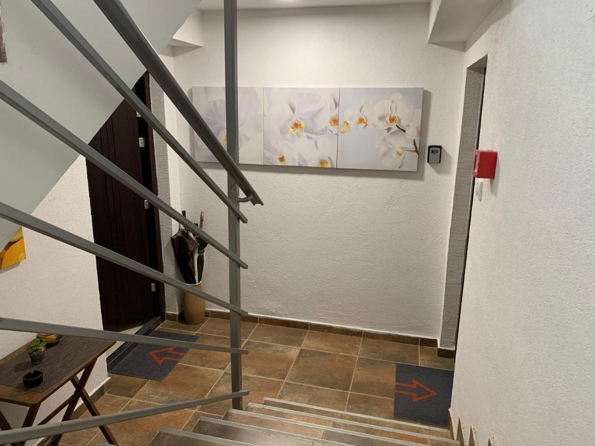 A6 Apartment Novi Sad Exterior foto